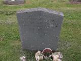 image of grave number 247315
